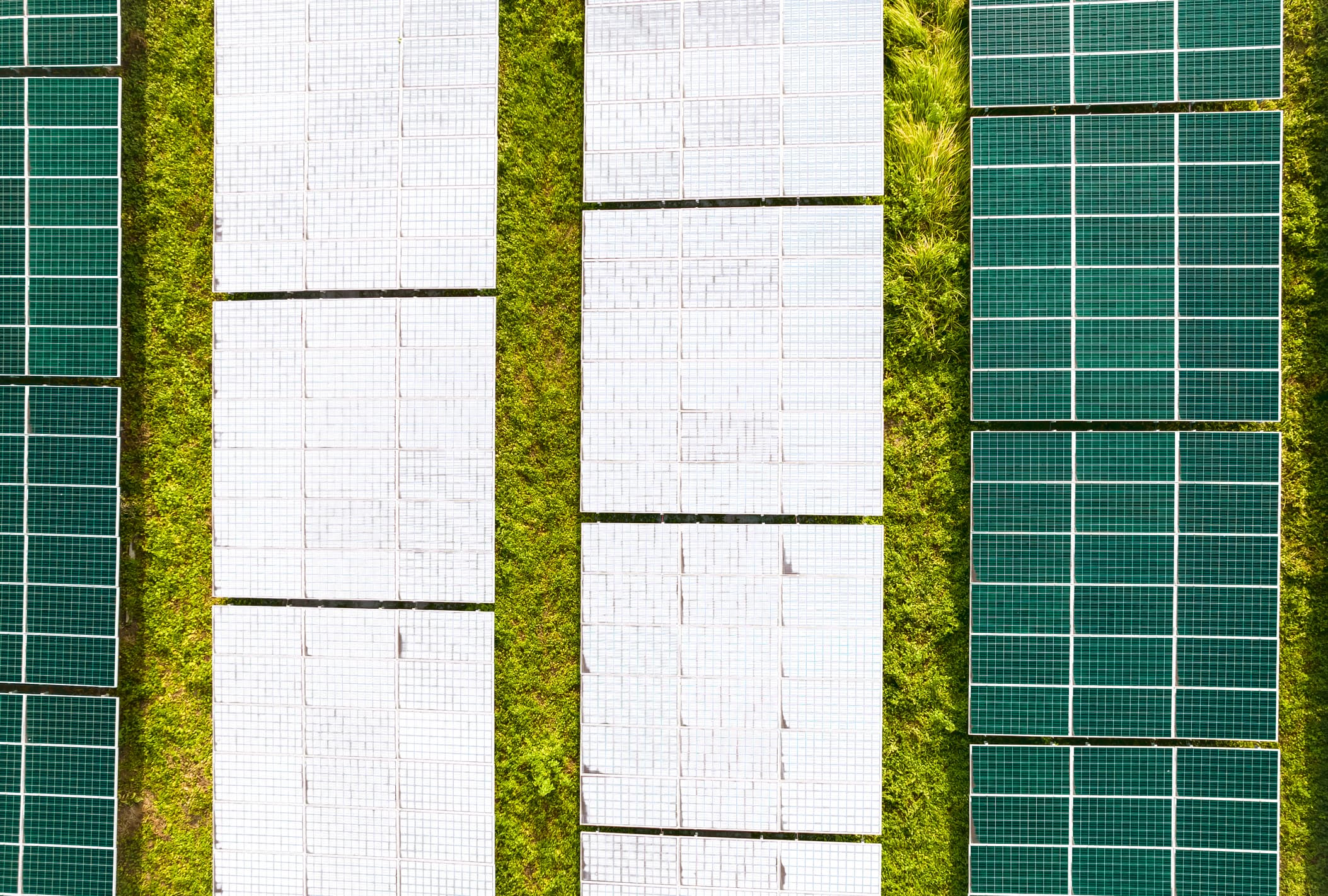 A solar farm superimposed with the flag of Nigeria, symbolizing renewable energy and economic growth